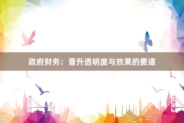 政府财务：晋升透明度与效果的要道